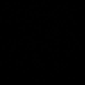 Meet your Posher, Augusta